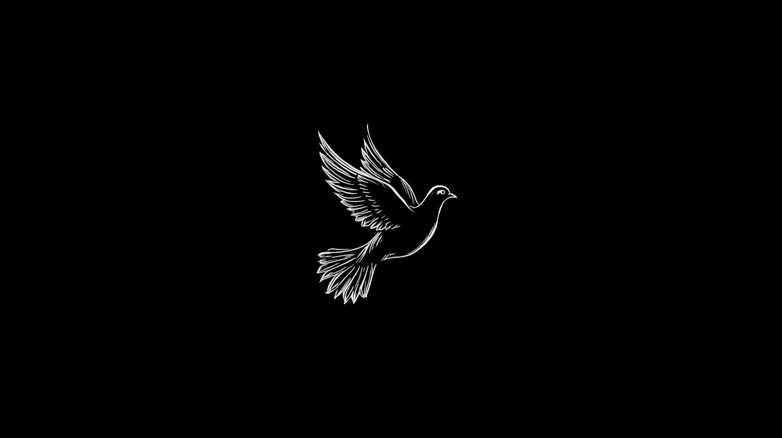My Intention - Why I created this Digital Space